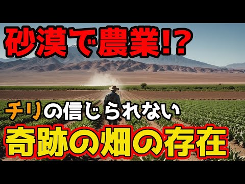 乾燥地農業の始め方：具体的なテクニックと失敗しないコツ