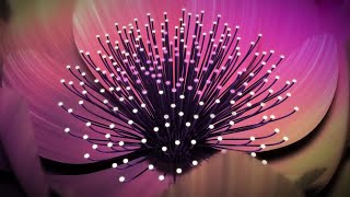 Flower Heart After Effects Templates