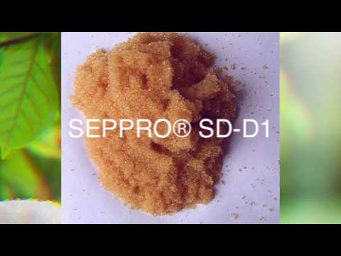 stevia extraction technology and production process
