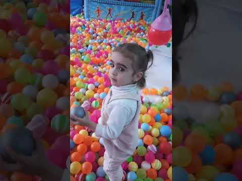 كرتي كوتي كتاكيت 