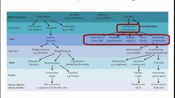Clustering (part 1/4: introduction)
