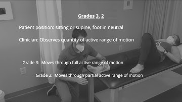 Manual Muscle Test Toe Metatarsophalangeal Flexion