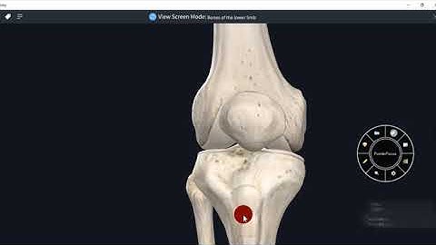ANATOMY OF TIBIA- 3D VIDEO#LOWER LIMB#3D ANATOMY