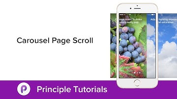 Principle Tutorial Carousel Page Scroll