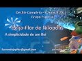 Capture de la vidéo Desfile Completo Carnaval 2011 - Beija-Flor De Nilópolis