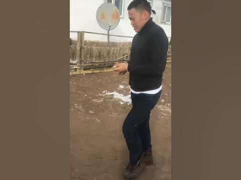 Сээр цохих энгийн техник. - YouTube
