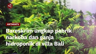Bareskrim ungkap pabrik narkoba dan ganja hidroponik di villa Bali