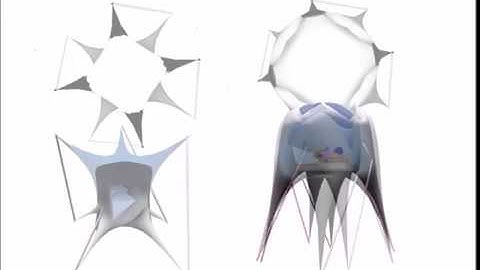 IAAC - Computational Design - Forces of Nature - Francois NOUR - 2017-2018