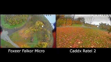Foxeer Falkor Micro vs Caddx Ratel 2 Comparison | Which one is better?