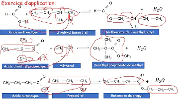 Qu'est-ce qu'une réaction d'estérification ?