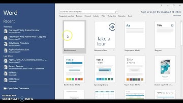 CIE IGCSE ICT November 2008 (Part 2) P2