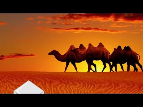 Kim, Buran - Polar Lights