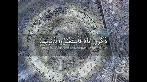 ارح سمعك.اجمل حالات واتس اب قران كريم بصوت جميل جدا💚 ||صلاح بو خاطر ||💚-- تلاوات خاشعة