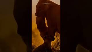 What Is Lien The For Super