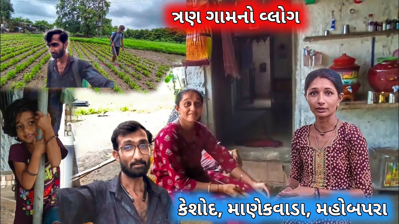 Tran Gaam No Vlog / Keshod, Manekvada, Mahobatpra || farmerlife ||