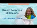 29 frederique pichard dauphins et baleines institutdony