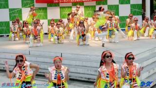 Dance The Tiggerstrawberry サディスティックPerfect Human 14-B 2017 Lazona Kawasaki