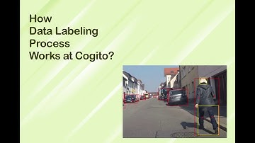 How Data Labeling Process Works at Cogito?
