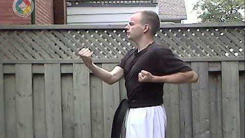 Taekwondo: Hapkido: Foundations: forearm inward strike block, side view