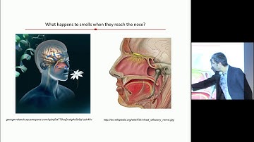 Olfaction in Science and Society