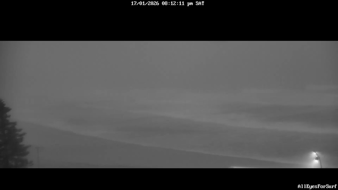 Dee Why Surf cam 17/01/26