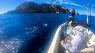 Πιάσαμε 7 ψάρια αλλά κρατήσαμε μόνο ένα! ❤️😘 #ψάρεμα #fishing #tairubber #jigging #catchandrelease