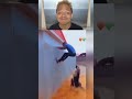 Kevin SooExtra! Try Not To Laugh Challenges #funny 💯🤣 Funny TikTok Kevin SooExtra! REACTIONS