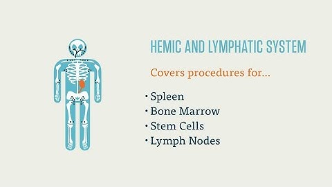 CPC EXAM: HEMIC AND LYMPHATIC SYSTEM