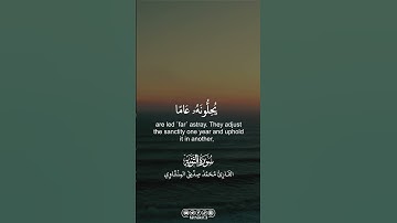 من سورة التوبة || القارئ محمد صديق المنشاوي |
