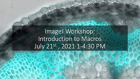 ImageJ Workshop Part 3: Introduction to Macros.