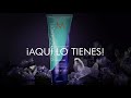 Moroccanoil | Purple Shampoo Rubios Perfectos