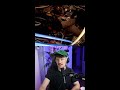 Live April 06