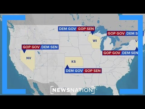 Video: Ar Amerikos rinkėjai išsiskyrė?