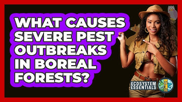 What Causes Severe Pest Outbreaks In Boreal Forests? - Ecosystem Essentials
