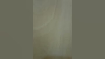 تعليم الطيور سورة الإخلاص