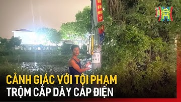 Cảnh giác với tội phạm trộm cắp dây cáp điện | Bản tin 141