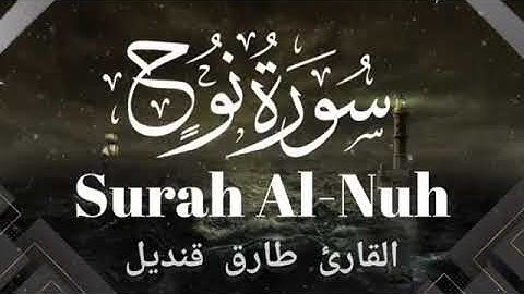 سورة نوح | تلاوة عطرة | القارئ طارق قنديل