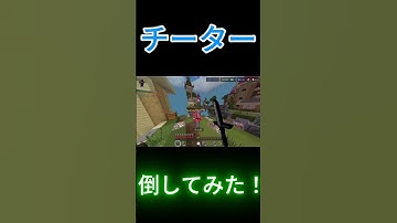 チーター倒してみた！　#shorts #マインクラフト #minecraft #hive