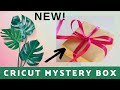 Cricut Tropical Infusible Ink Mystery Box!! July 2021 Cricut CUTIE Mystery Box!