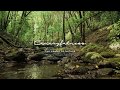 Música relajante y sonidos de río en Garajonay - La Gomera