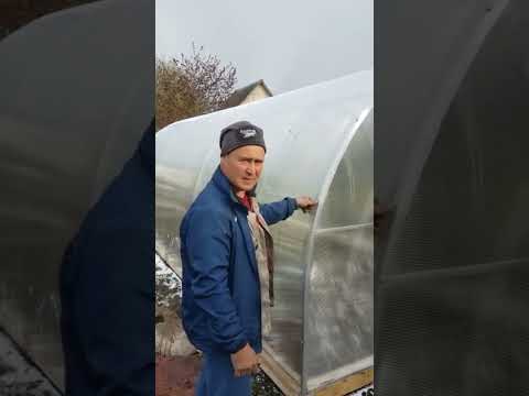 84 - Отзывы