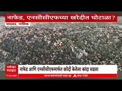 Nashik Onion News : नाशिकमध्ये नाफेड, एनसीसीएफ गोदामात 9.60 लाख क्विंटल कांदा सडला | ABP Majha