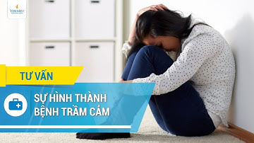 Sự hình thành bệnh trầm cảm