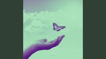 Pulsating Moods for Light Thoughts