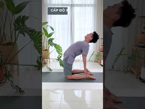 Video: Cách thực hiện tư thế lạc đà yoga: 13 bước (có hình ảnh)