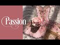 Stamperia Passion Mini Album Tutorial Walk Through