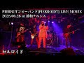 セルロイド(PIERROTコピー) 2025.06.28