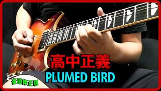 高中正義 PLUMED BIRD 音源修正版 (Guitar cover)