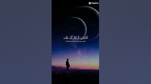 أفلا ينظرون إلى الإبل كيف خلقت😴💚🌿 #قران_كريم #تلاوة_هادئة #راحة_نفسية #عبدالرحمن_مسعد