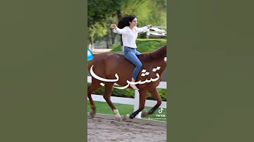 اغنية لما البطل يلعب كلها تاخد جنب فيديوهات جميلة 
